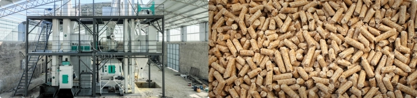 Сравнение стоимости 5-го и 10-го комбикормовых заводов