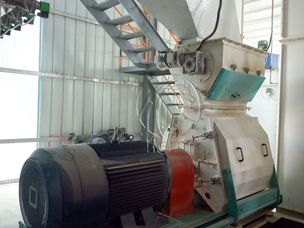 Рынок кормов для животных в Алжире: спрос, импорт и будущие возможности