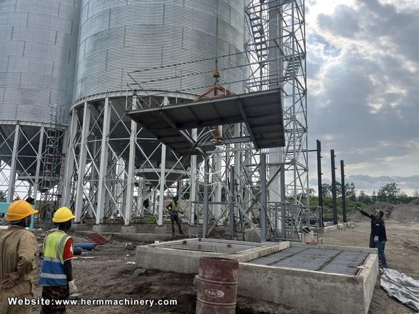 Современные тенденции и проблемы в производстве кормов в Нигерии