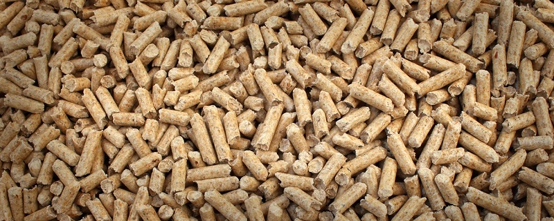 ведущие компании по производству кормов для животных в Алжире