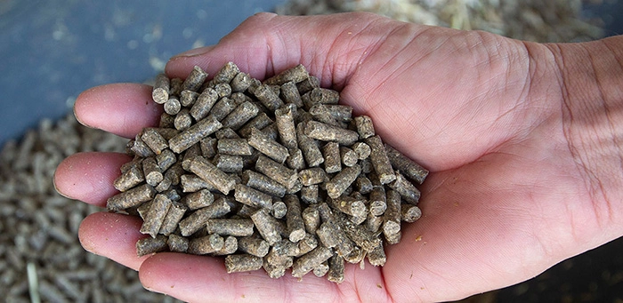 стоимость инвестиций в комбикормовый 